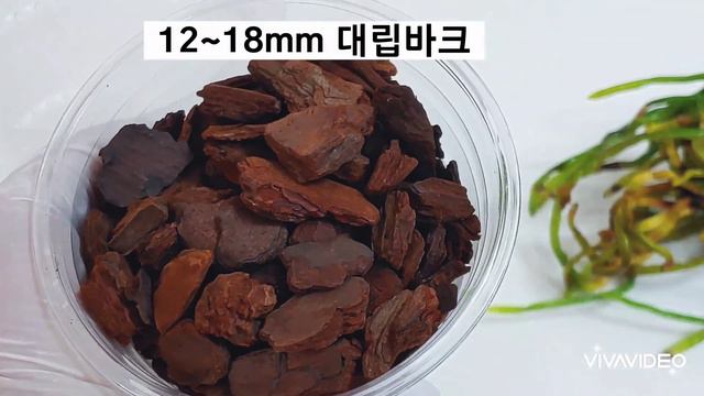 이원난원의 무늬종 미니호접란 언박싱과 이원난농원 난초 4가지로 분갈이 하는 방법 & 초미니 호접란 행잉 으로 분갈이 하는 방법. смотреть онлайн
