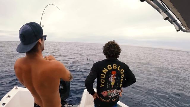 DEEP SEA FISHING For Giant Gold Fish (Part 2) - Ep 204 смотреть онлайн