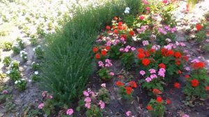 Добрый день! г Азов, знакомство и прогулка по городу.