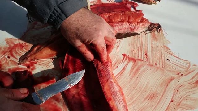 Засолка горбуши смотреть онлайн