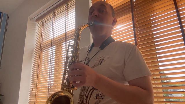 LuckySAX - Dov'è l'amore (Cher) | alto saxophone instrumental cover version смотреть онлайн