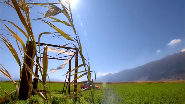 Karmen Suleyman - Akhbari