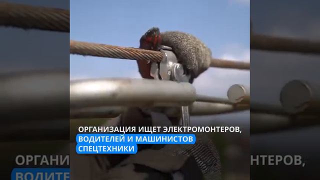 В КРАСНОЯРСКОМ КРАЕ ЗАФИКСИРОВАН НИЗКИЙ УРОВЕНЬ БЕЗРАБОТИЦЫ смотреть онлайн