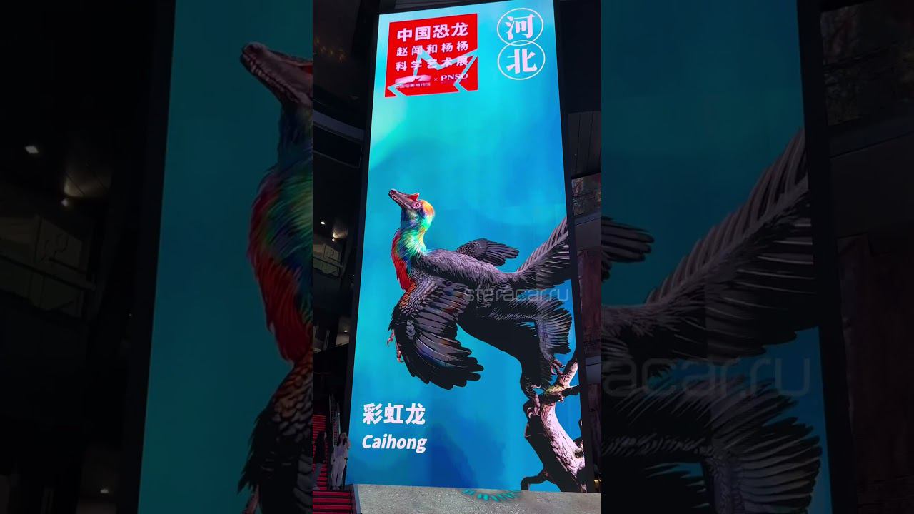 Во время путешествия на Auto China 2024 мы побывали в музее китайского кино#автоизяпонии#китай#кино смотреть онлайн