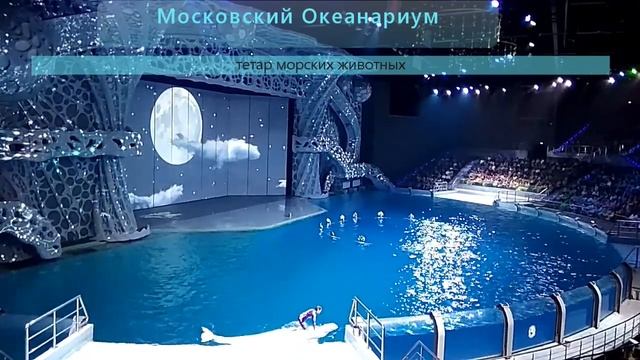 Московский океанариум "Москвариум" смотреть онлайн