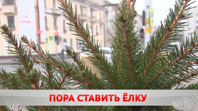 Пора ставить ёлку: что почем? смотреть онлайн