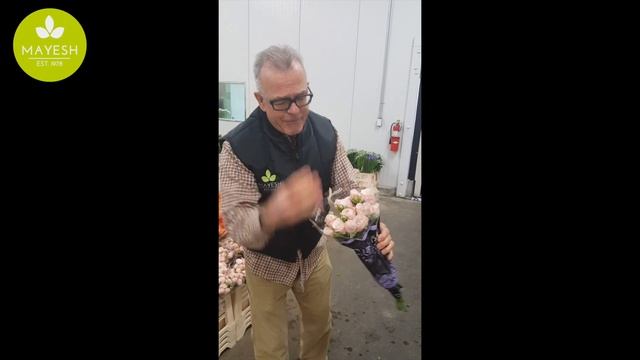 Mayesh Minute: Bombastic Garden Spray Rose смотреть онлайн