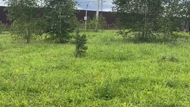 КУПИТЬ УЧАСТОК КИЕВСКОЕ ШОССЕ | МИНСКОЕ ШОССЕ | Московская область | Наро-Фоминское агентство смотреть онлайн