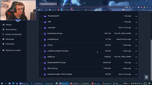 Régler Le Problème De Link Voice Chat Avec Son Serveur Minecraft (Voice Chat Not Connected)