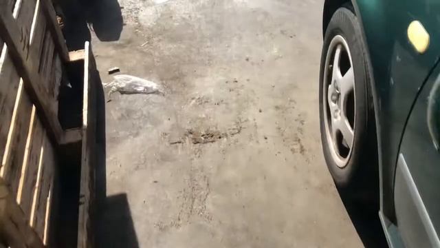 Разборка Volkswagen - Golf 4 1997-2005, 2.0 (VIN: WVWZZZ1JZYW120134) 36852 смотреть онлайн