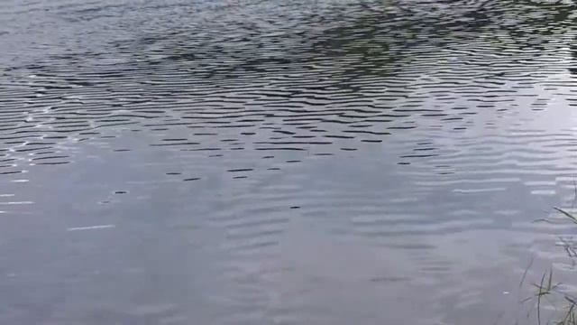 ОТДЫХ НА РЕКЕ МОЗЕЛЬ ГЕРМАНИЯ 2017 смотреть онлайн