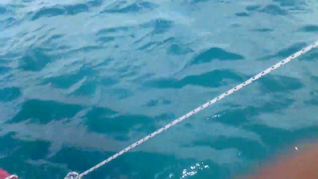 Deep sea fishing in mauritius on June 20, 2015 смотреть онлайн