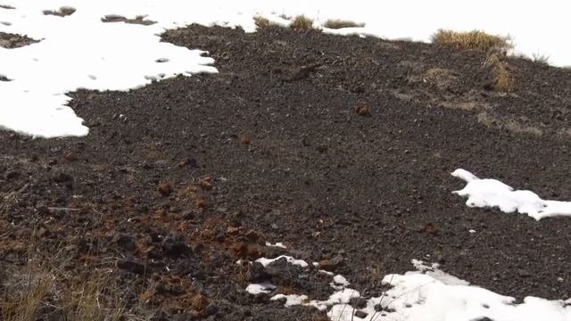 Чап Уустара: Верхневилюйские кузнецы возрождают технологии предков-металлургов смотреть онлайн