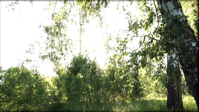 VIEWERS/Vol.I смотреть онлайн