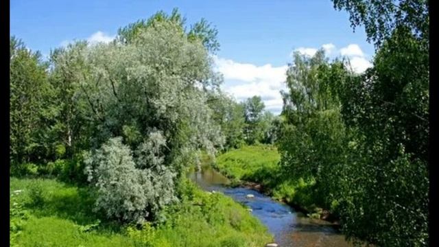 "КРУШИНА"? песня в исп.? Анастасии Жаткиной?? смотреть онлайн