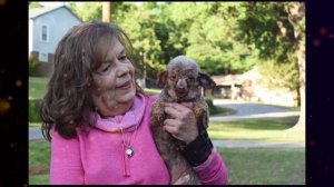 Собака всю жизнь провела в подвале и наконец увидела солнце