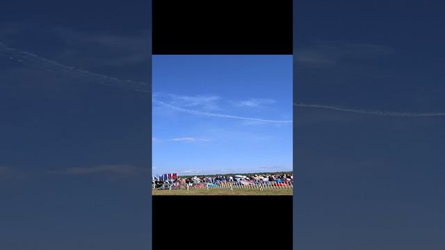 Борки 2024 смотреть онлайн