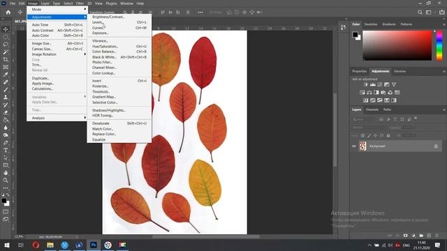 Как сушить цветы и листья ?? || Зарисовки и гербарий || Сканирование и оцифровка засушенных цветов смотреть онлайн
