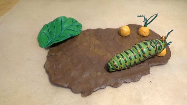 Загадка про гусеницу, пластилиновый мультфильм. A riddle about a caterpillar, a plasticine cartoon. смотреть онлайн
