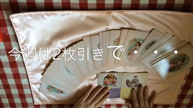 celeste's weekly oracle 5/11〜5/17 смотреть онлайн