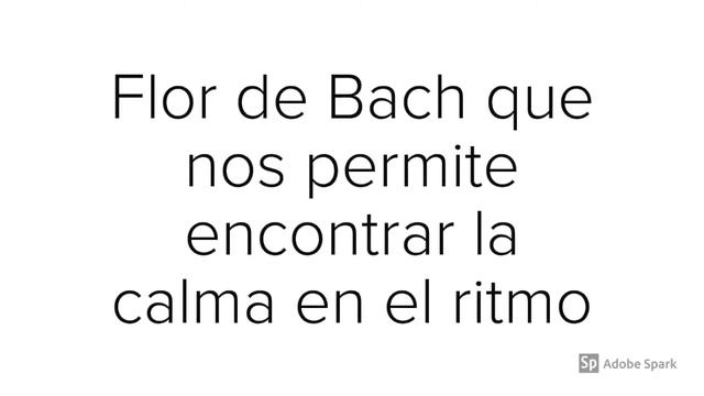 White Chestnut para la claridad mental смотреть онлайн