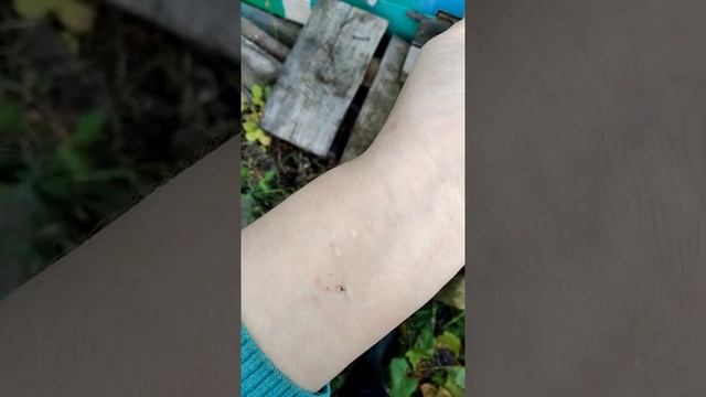 Пути развития эзотерической практики