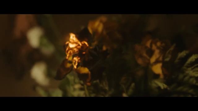 ? Новые лучшие трейлеры фильмов 2022 (5-7-я недели) ? смотреть онлайн