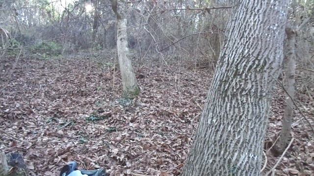 О грецком орехе, разлущиваемом двумя пальцами. смотреть онлайн