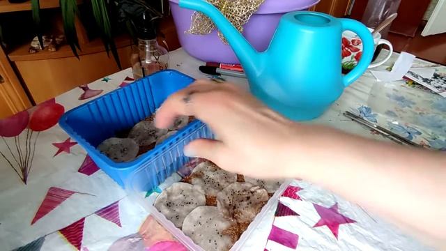 ПОСЕВ МНОГОЛЕТНИКОВ! ПОСЕВ ЛЮБИМЫМ СПОСОБОМ! ВСХОДЯТ БЫСТРО! Ответы на вопросы.