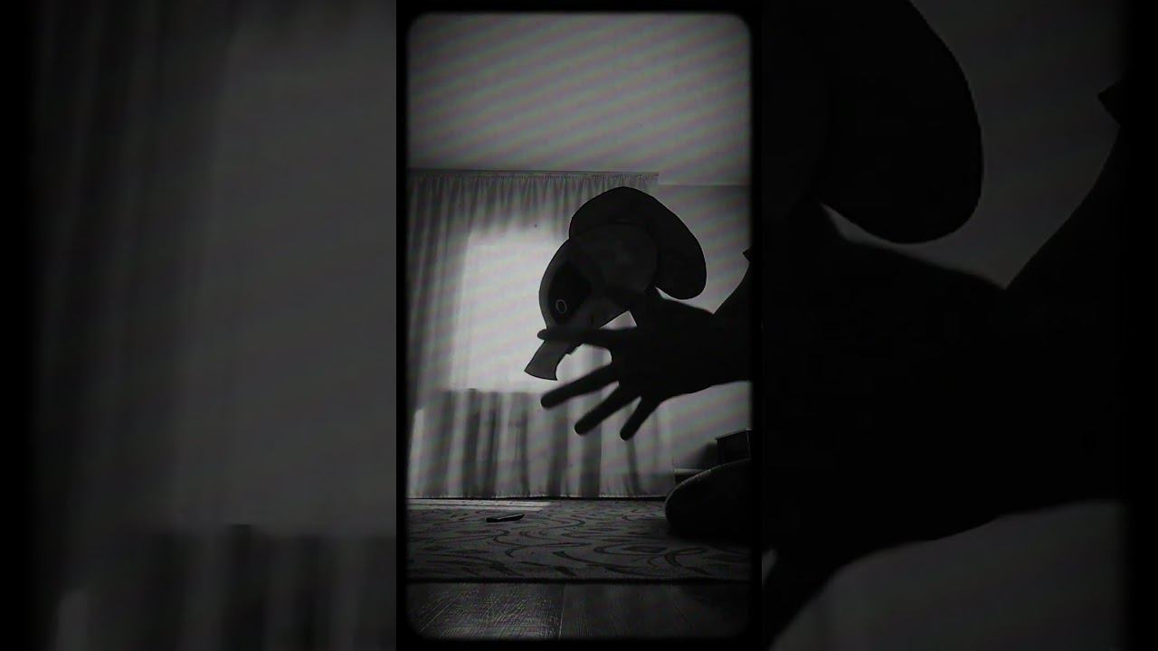 Софик на рутуб