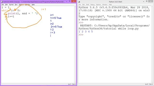 LOOPS | while loop - Part 3 смотреть онлайн