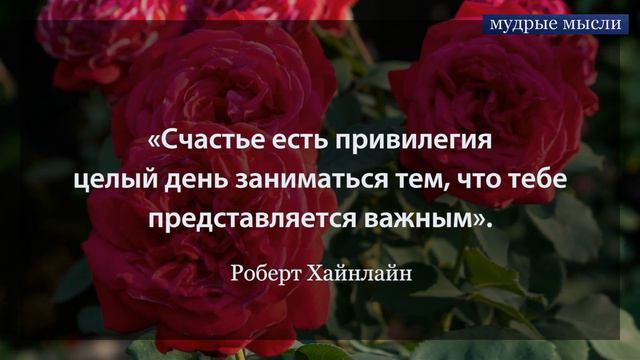 Самые Ценные Афоризмы | Лучшие Изречения про Жизнь смотреть онлайн