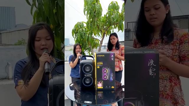W-KING Speaker T9ii 2 Mic Speaker Karaoke Portable Bluetooth Wireless Traveling T9ii 2MIC смотреть онлайн
