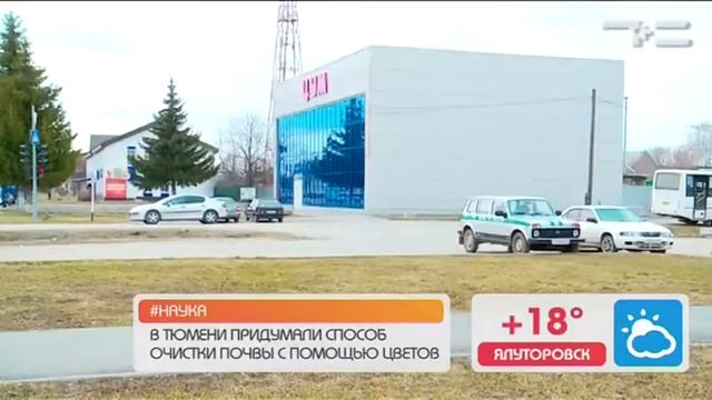 Родина Ильича - «Утро с Вами» 25.04.2017 смотреть онлайн