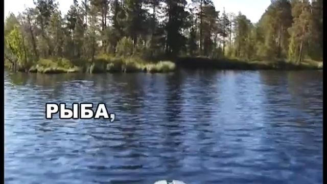 "Рыба, Ты и Комары 2014" промо ролик смотреть онлайн