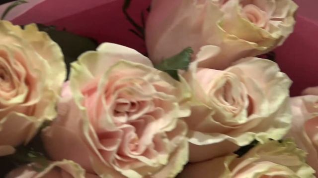 Букет из 25 розовых роз Эквадор Pink Mondial смотреть онлайн