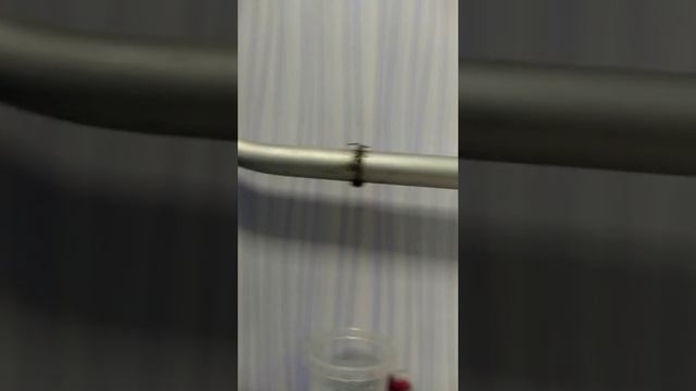 Устранили течь с полотенцесушителя, работники ЖЭСа смотреть онлайн