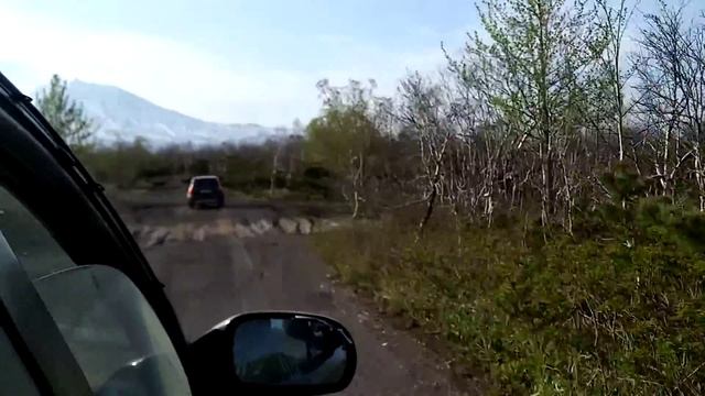 Кедрач вдоль дороги от Котельникова озера (около Петропавловска- Камчатского) смотреть онлайн