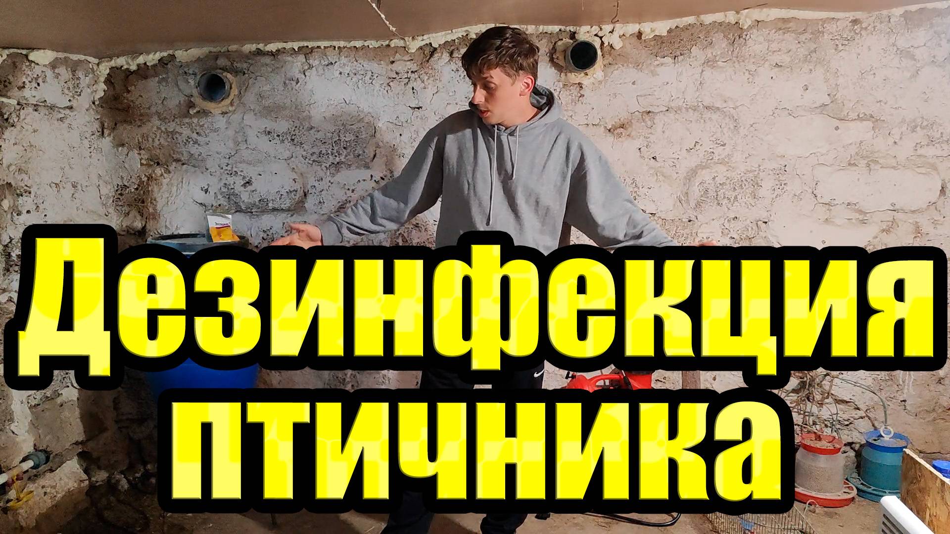 ДЕЗИНФЕКЦИЯ У БРОЙЛЕРОВ смотреть онлайн