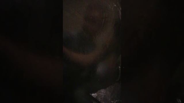 Считаем столбиком! смотреть онлайн