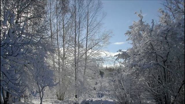 Иеромонах Роман. «Полночью, лунной полночью...» смотреть онлайн