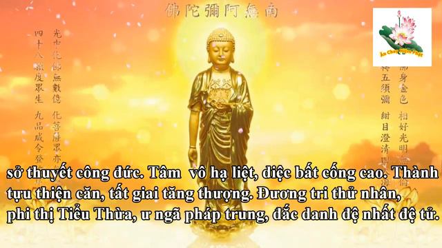 PHẨM 43 - PHI THỊ TIỂU THỪA (TỤNG KINH VÔ LƯỢNG THỌ TỊNH TÔNG HỌC HỘI) смотреть онлайн