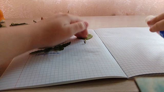 Показываю как делать гербарий! смотреть онлайн