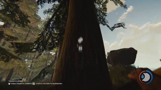 (Гайд) Как нужно играть в The Forest/ смотреть онлайн