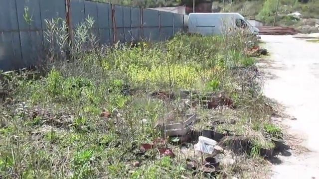 Работа в Черногории (Радановичи): пересадить растения. смотреть онлайн