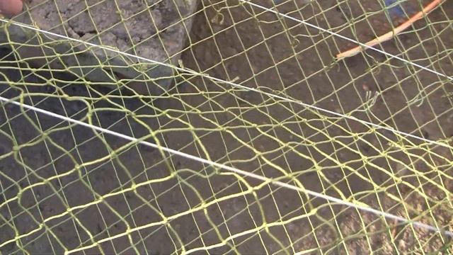Раколовка дорожка 67см ( ДОРАБОТКА) все тонкости /// Стоит ли покупать /// Как не попасть на деньги смотреть онлайн