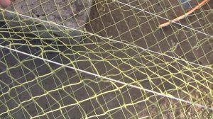 Раколовка дорожка 67см ( ДОРАБОТКА) все тонкости /// Стоит ли покупать /// Как не попасть на деньги