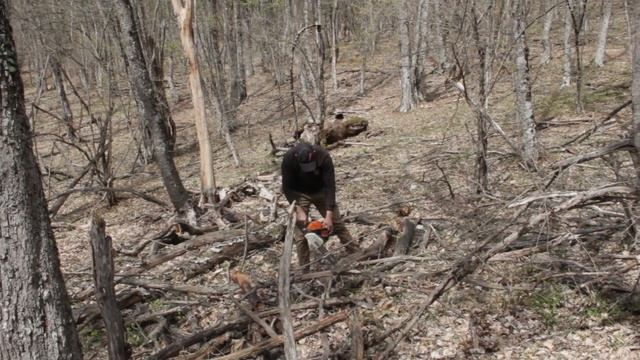 Сбор валежника 10.04.2023 смотреть онлайн