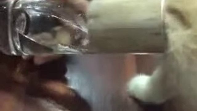 Как правильно пить воду смотреть онлайн