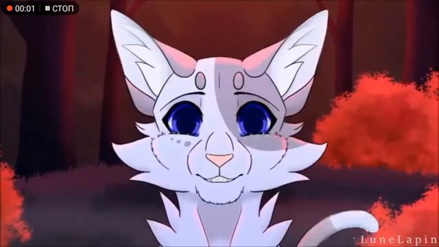 Мошка Коты Воители смотреть онлайн